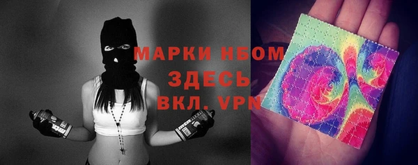 крисы Верхний Тагил