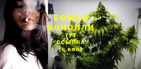 PSILOCYBIN Бугульма