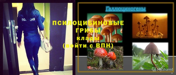сатива Верхнеуральск